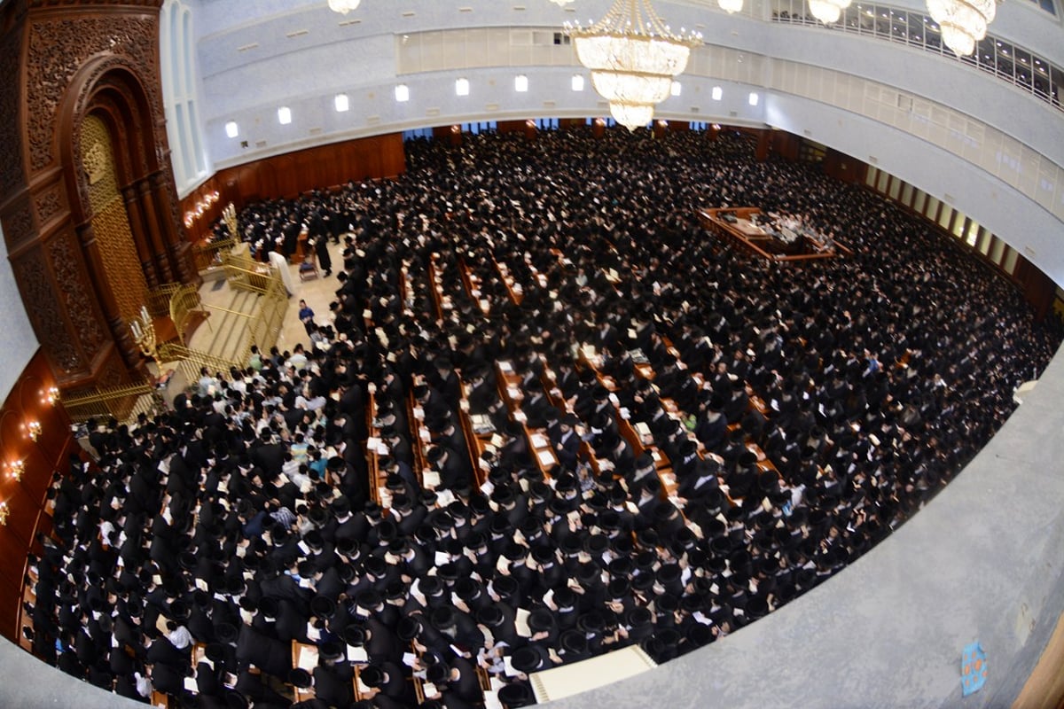 סליחות ראשונות עם האדמו"ר מבעלזא • גלריה