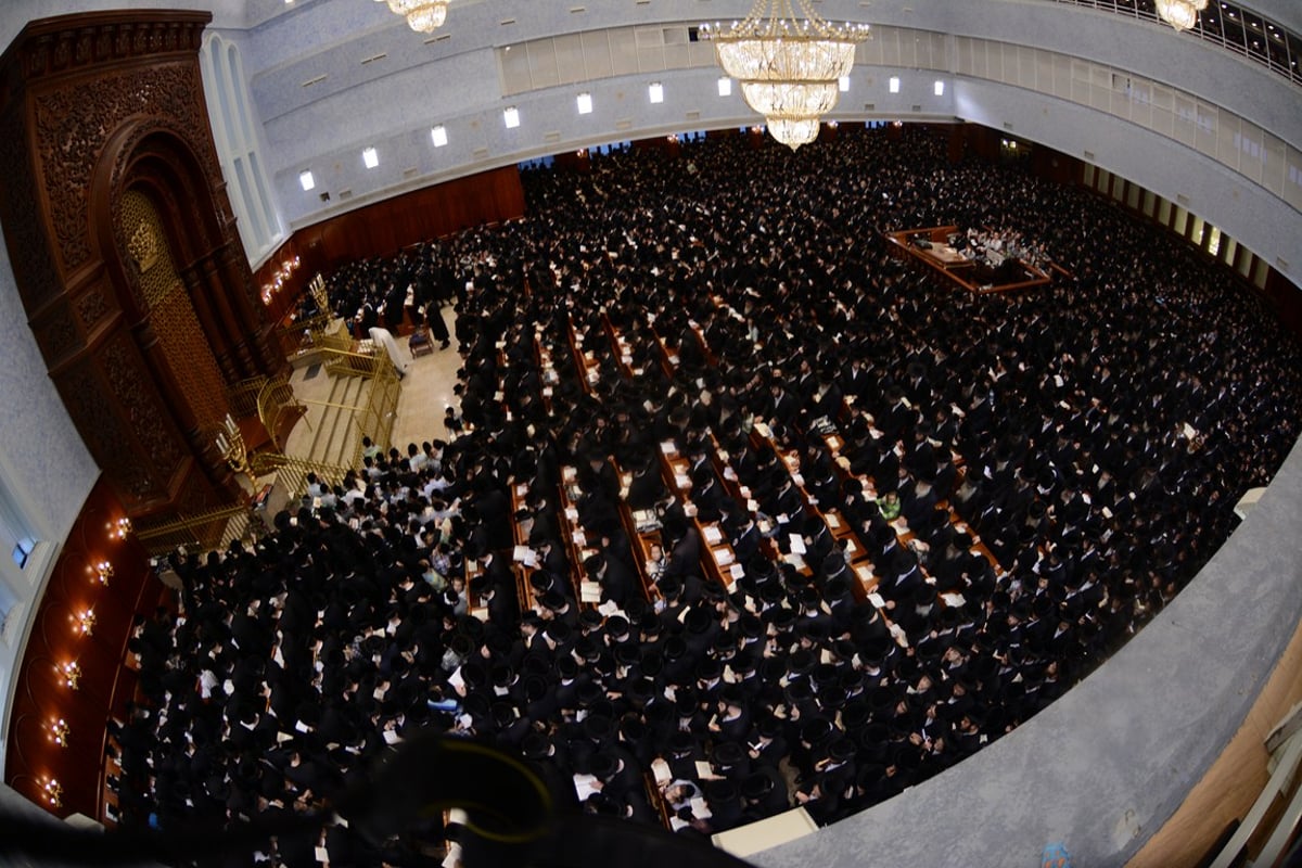 סליחות ראשונות עם האדמו"ר מבעלזא • גלריה