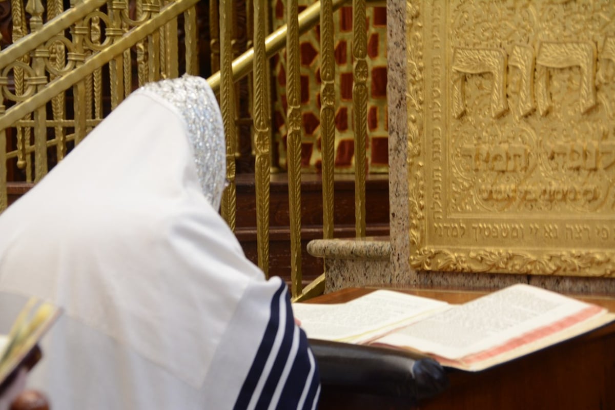 סליחות ראשונות עם האדמו"ר מבעלזא • גלריה