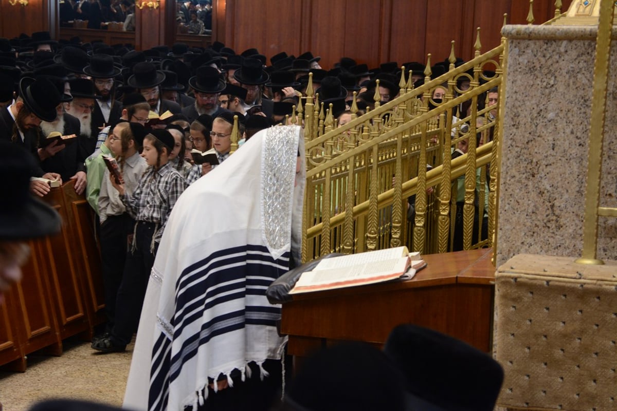 סליחות ראשונות עם האדמו"ר מבעלזא • גלריה