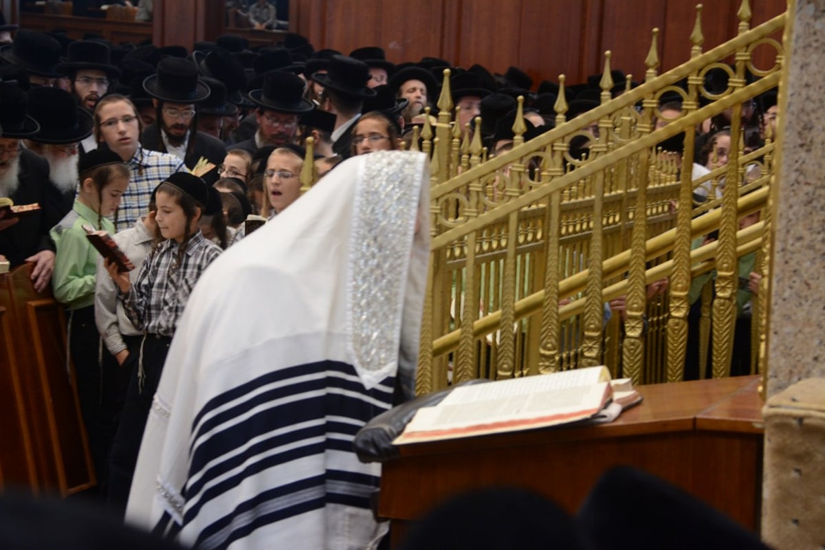 סליחות ראשונות עם האדמו"ר מבעלזא • גלריה