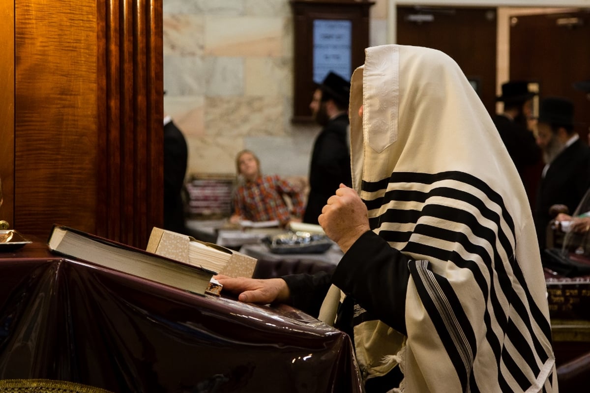 גלריה: סליחות אצל אדמו"רי ורבני בורו פארק