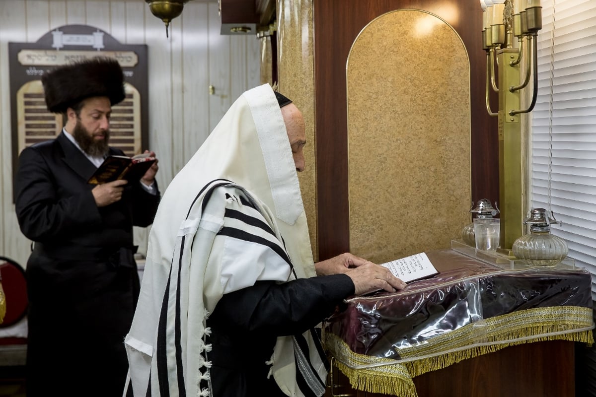 גלריה: סליחות אצל אדמו"רי ורבני בורו פארק