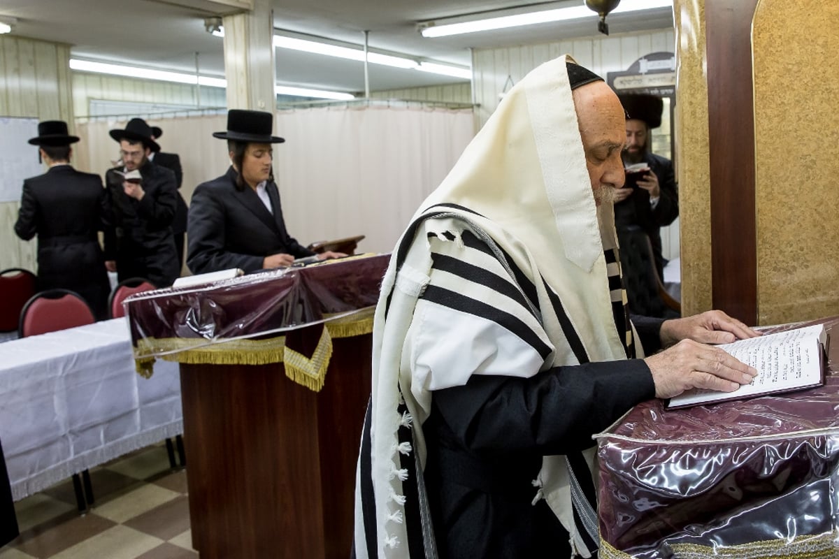 גלריה: סליחות אצל אדמו"רי ורבני בורו פארק