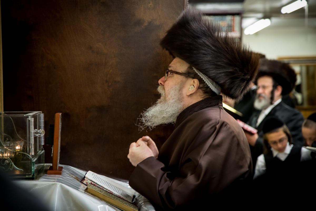 גלריה: סליחות אצל אדמו"רי ורבני בורו פארק