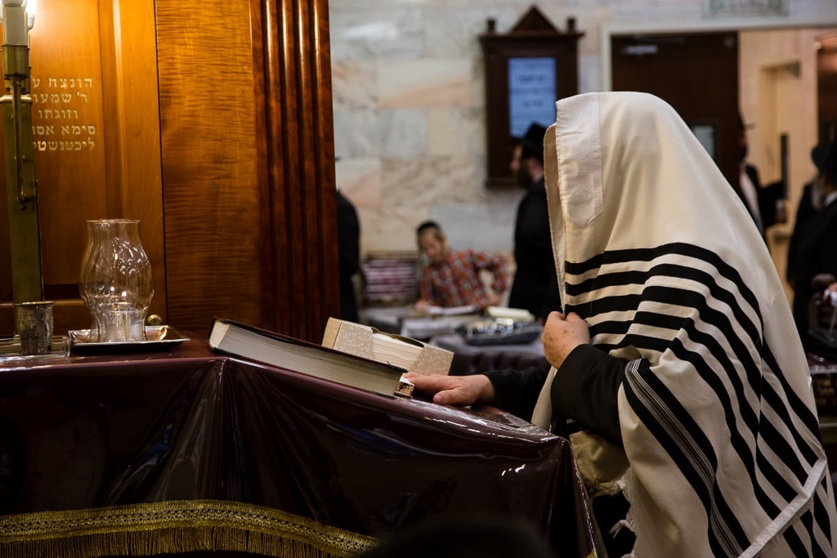 גלריה: סליחות אצל אדמו"רי ורבני בורו פארק