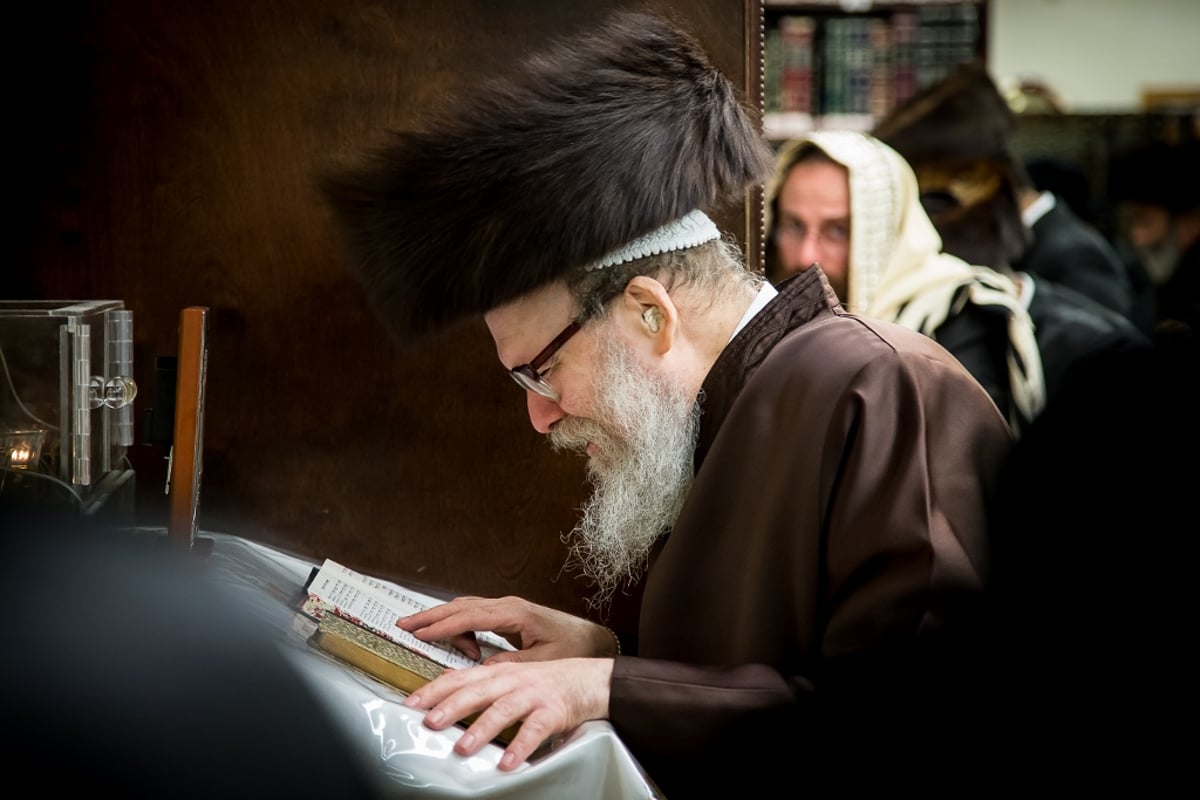 גלריה: סליחות אצל אדמו"רי ורבני בורו פארק