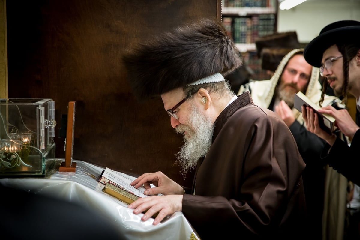 גלריה: סליחות אצל אדמו"רי ורבני בורו פארק