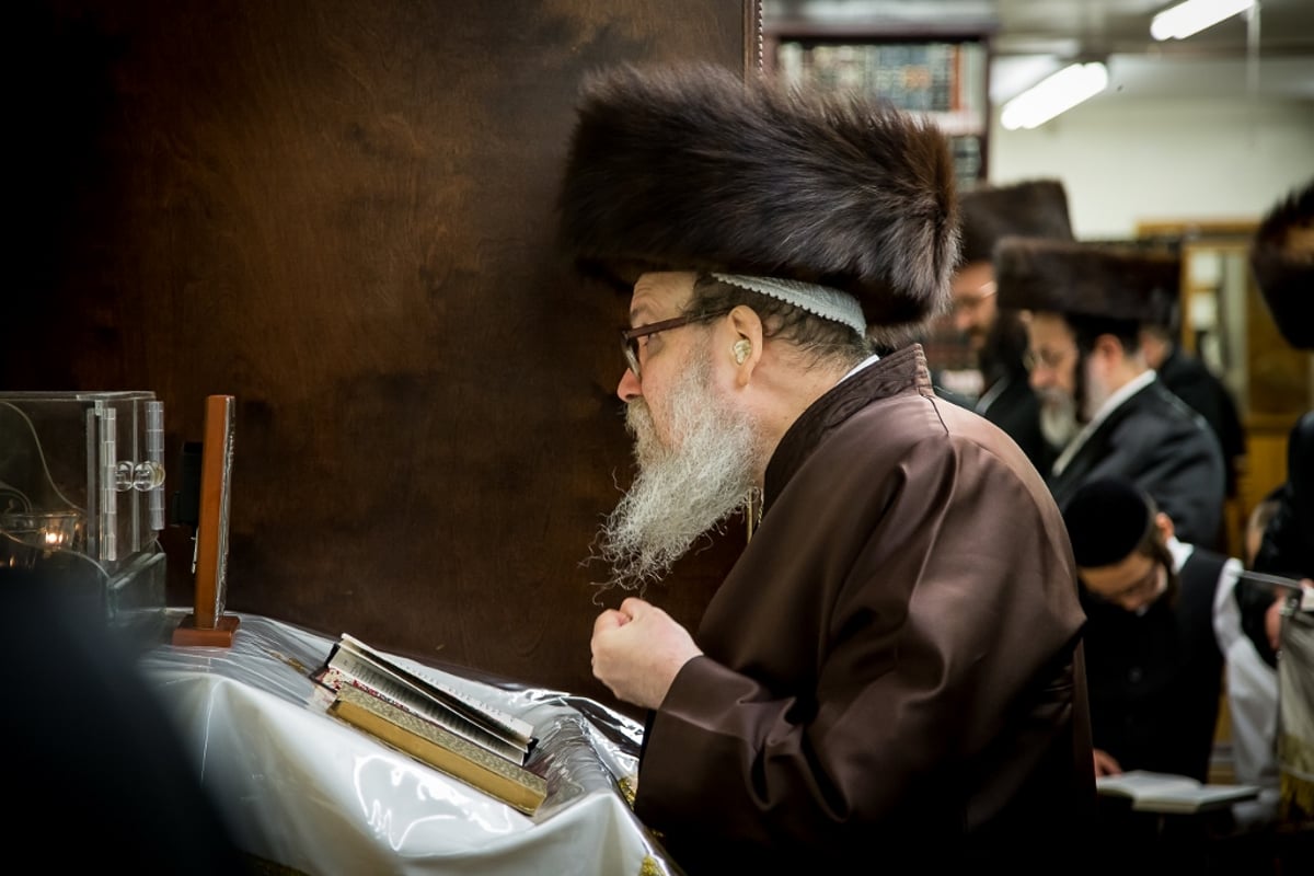 גלריה: סליחות אצל אדמו"רי ורבני בורו פארק