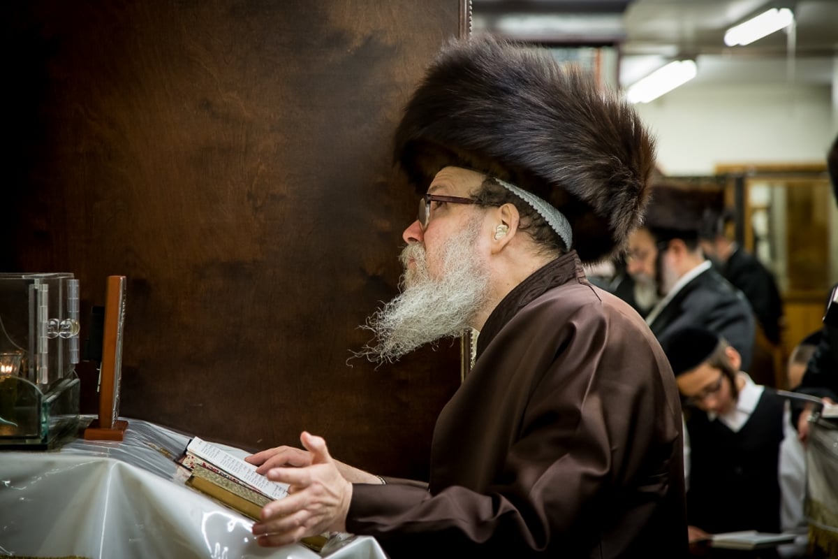 גלריה: סליחות אצל אדמו"רי ורבני בורו פארק