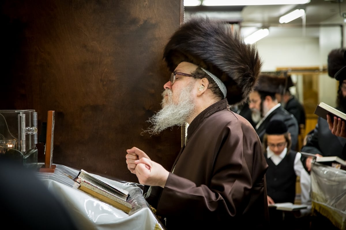 גלריה: סליחות אצל אדמו"רי ורבני בורו פארק