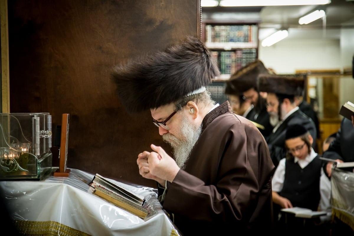 גלריה: סליחות אצל אדמו"רי ורבני בורו פארק