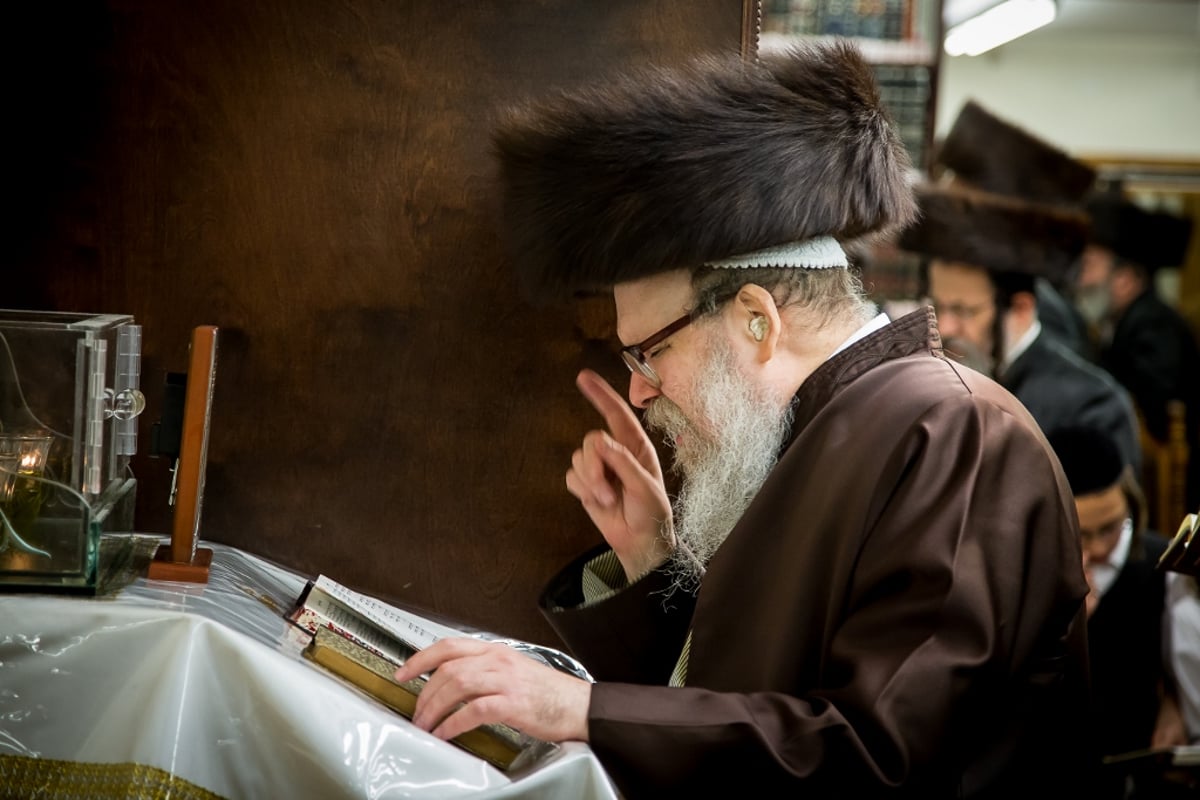 גלריה: סליחות אצל אדמו"רי ורבני בורו פארק