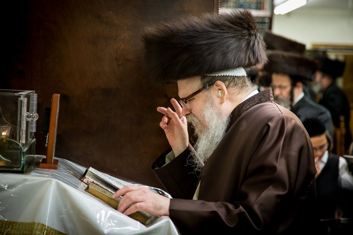 גלריה: סליחות אצל אדמו"רי ורבני בורו פארק