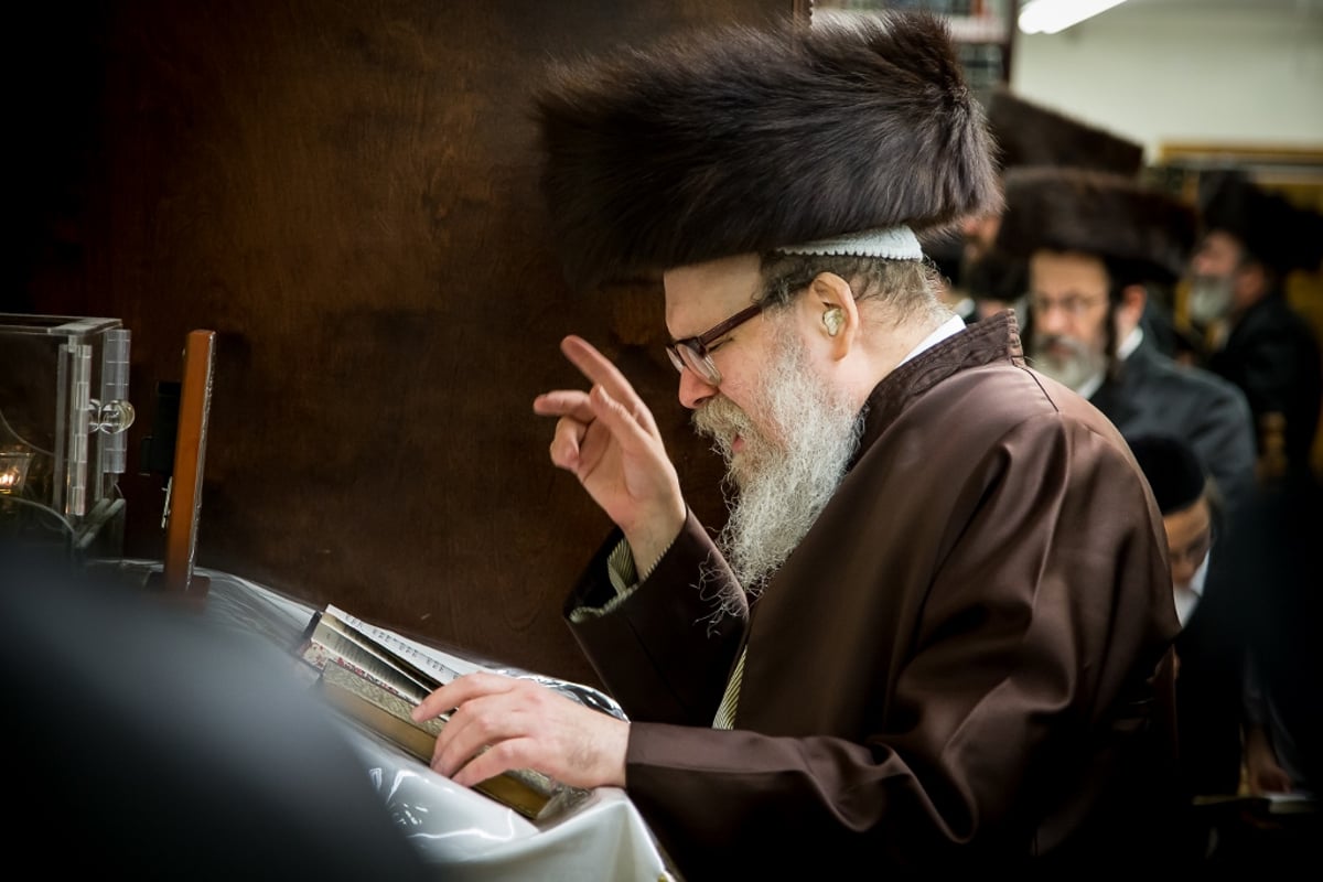 גלריה: סליחות אצל אדמו"רי ורבני בורו פארק