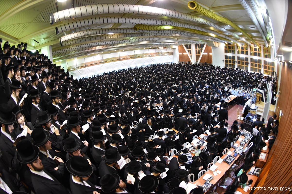 צפו: סליחות ראשונות עם האדמו"ר  מצאנז