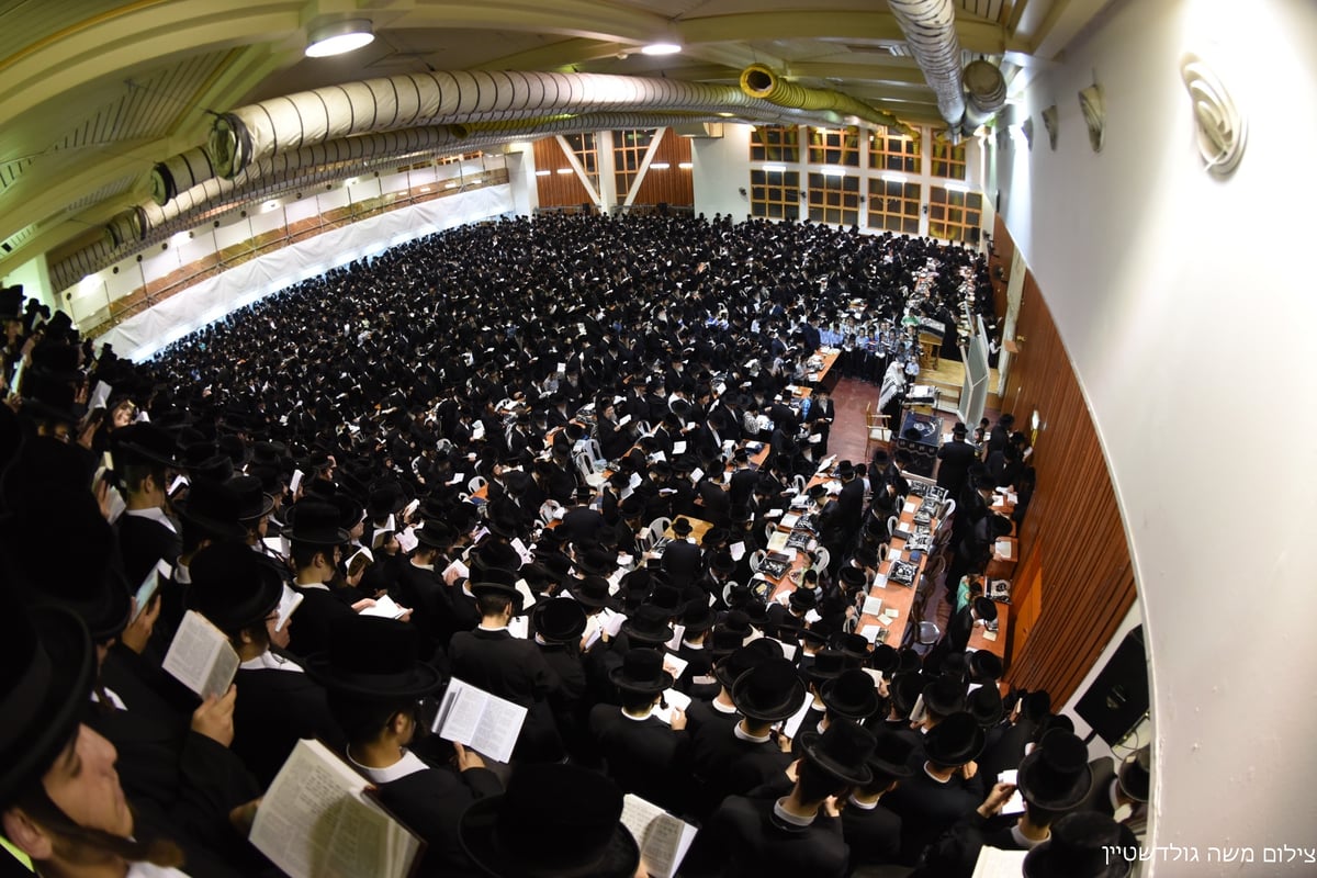 צפו: סליחות ראשונות עם האדמו"ר  מצאנז