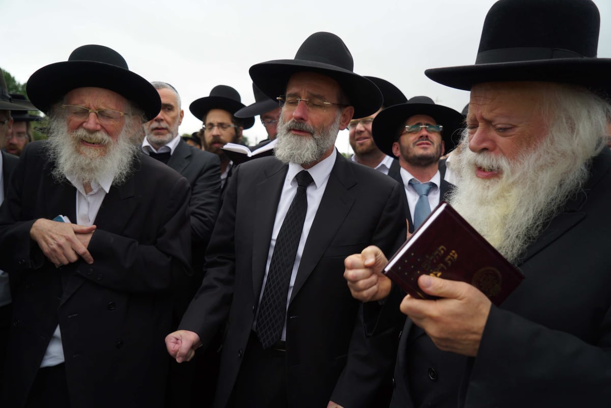 גלריה: תפילת הרבנים על ציונו של החפץ חיים