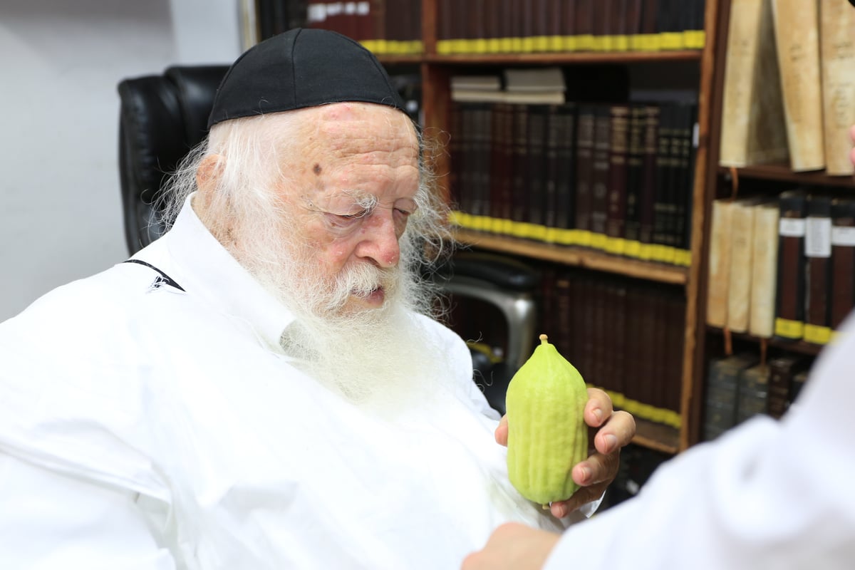 תיעוד: מרן הגר"ח בוחר אתרוג לחג הסוכות