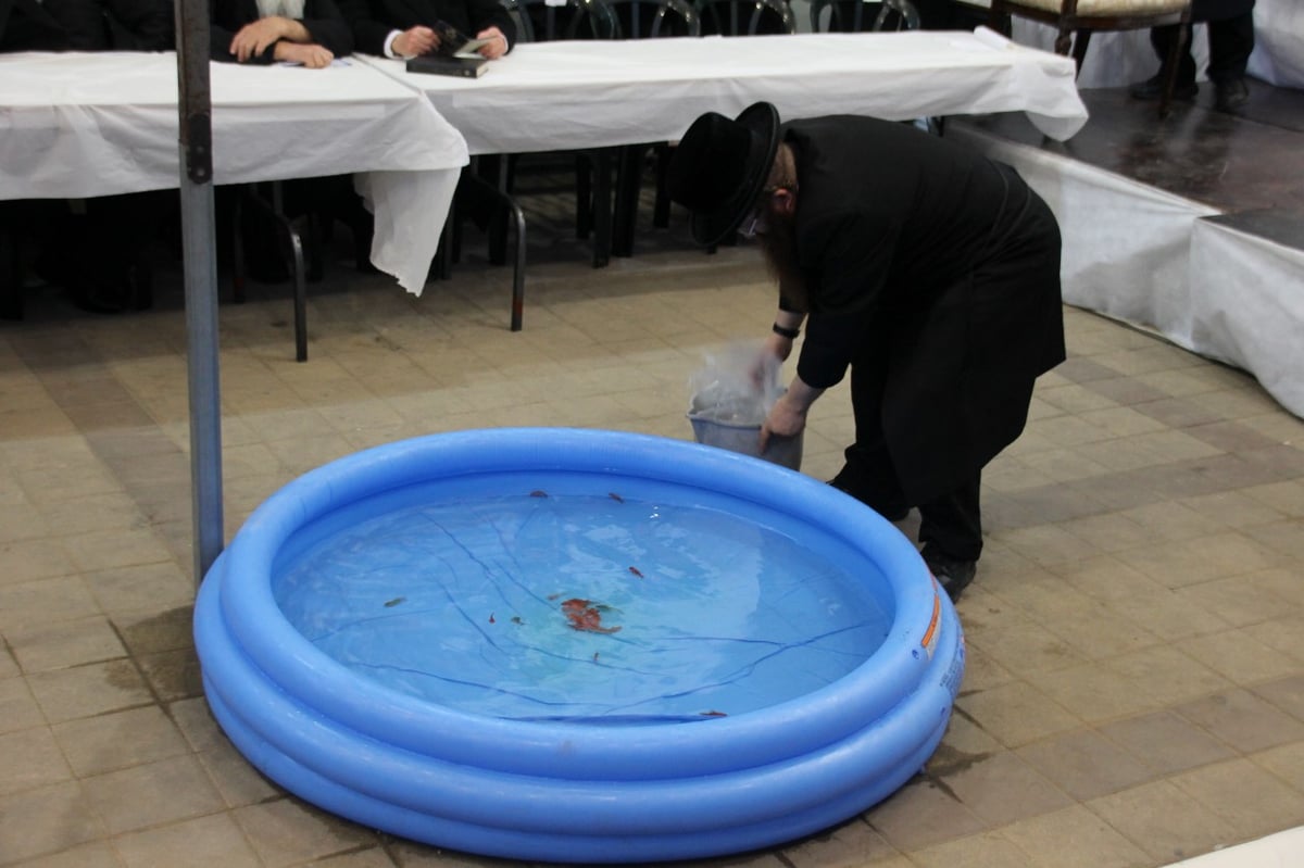 תיעוד: ה"תשליך" בחצר הקודש סאדיגורה