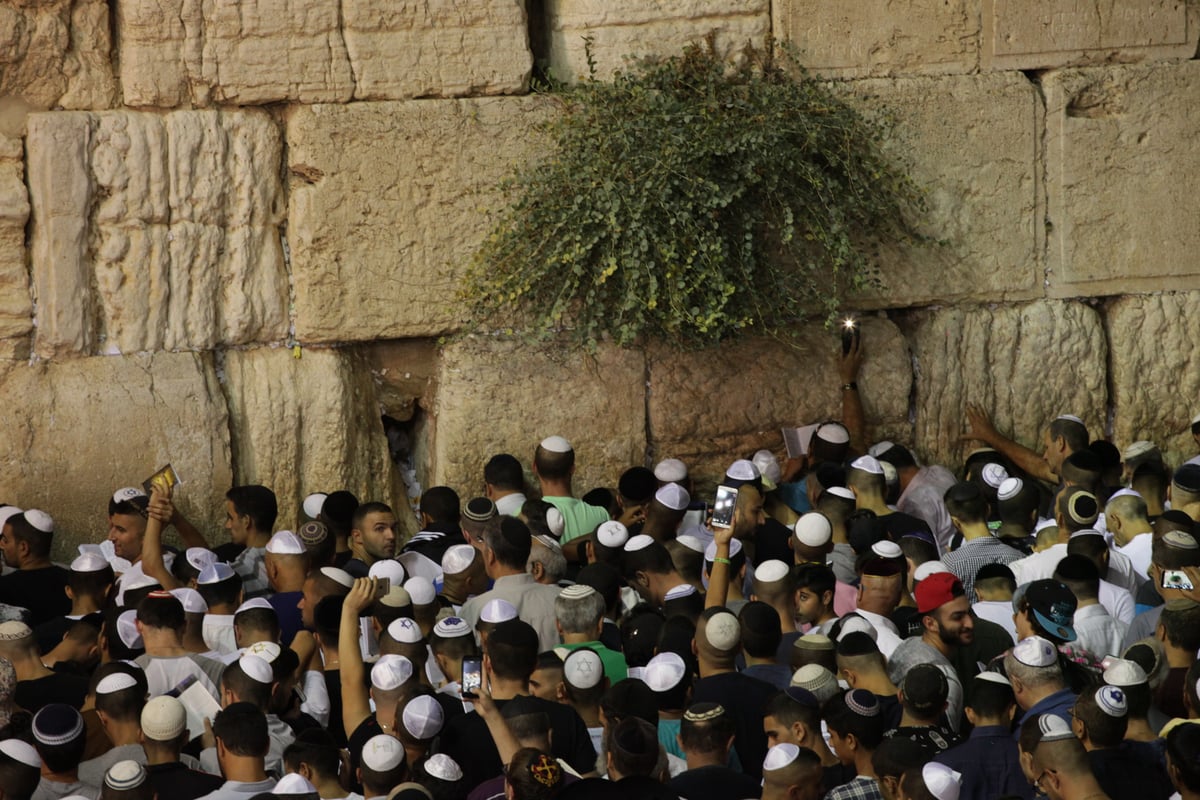 תיעוד: רבבות בעצרת הסליחות בכותל המערבי