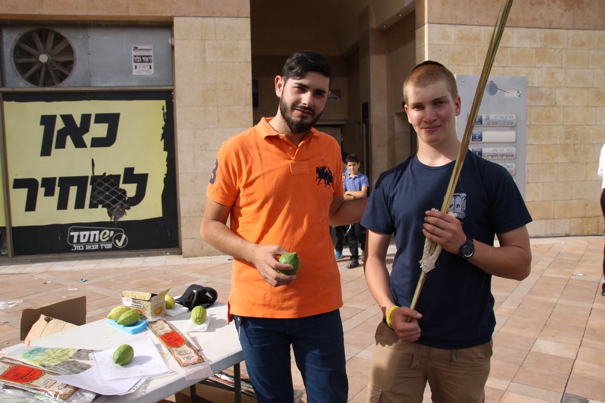 גלריה: תושבי בני ברק נערכים לקראת סוכות