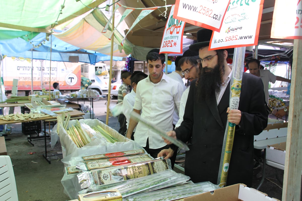 גלריה: תושבי בני ברק נערכים לקראת סוכות