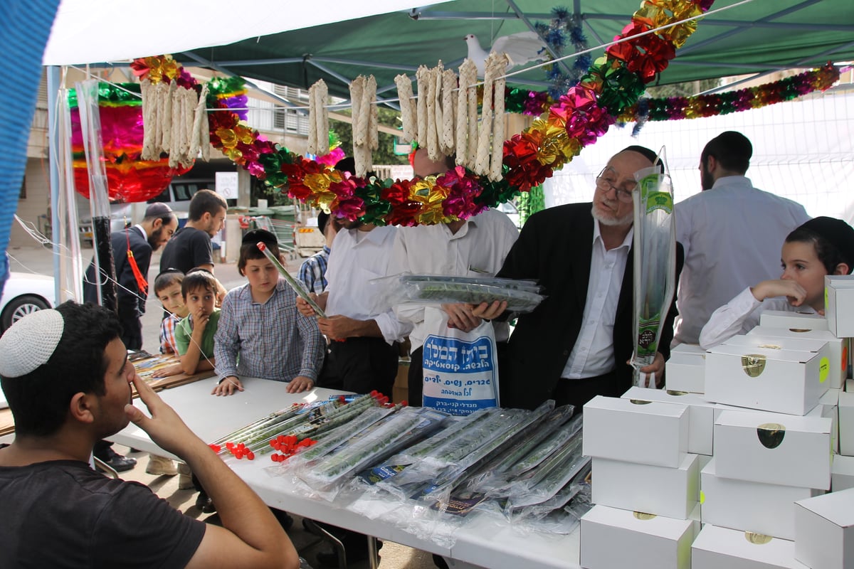 גלריה: תושבי בני ברק נערכים לקראת סוכות