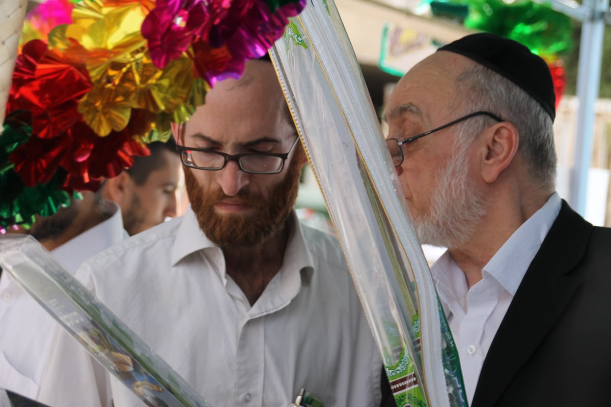 גלריה: תושבי בני ברק נערכים לקראת סוכות