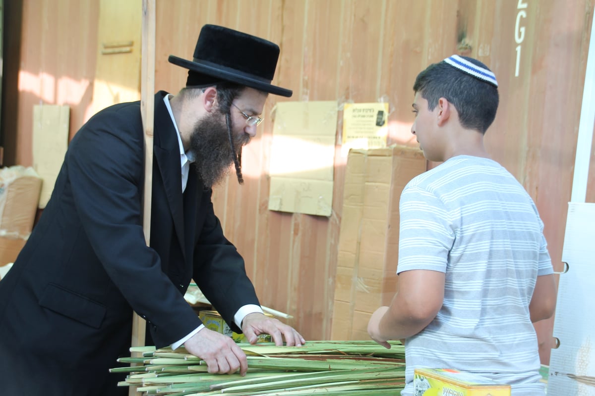 גלריה: תושבי בני ברק נערכים לקראת סוכות