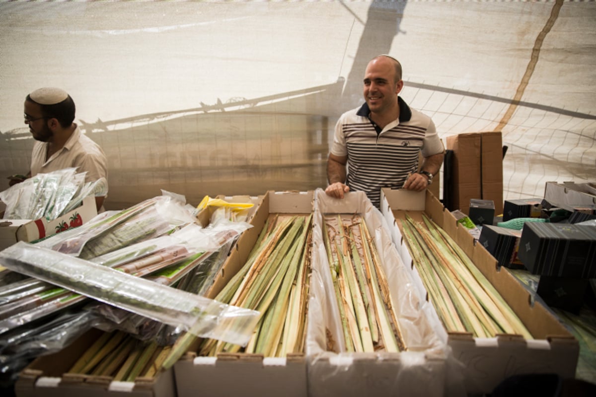 מתכוננים לחג הסוכות בירושלים ובתל אביב • צפו בתיעוד