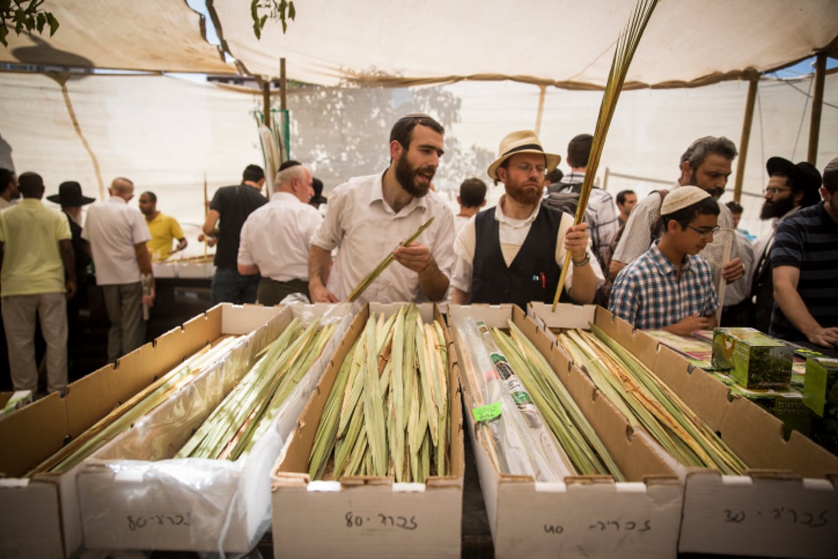 מתכוננים לחג הסוכות בירושלים ובתל אביב • צפו בתיעוד