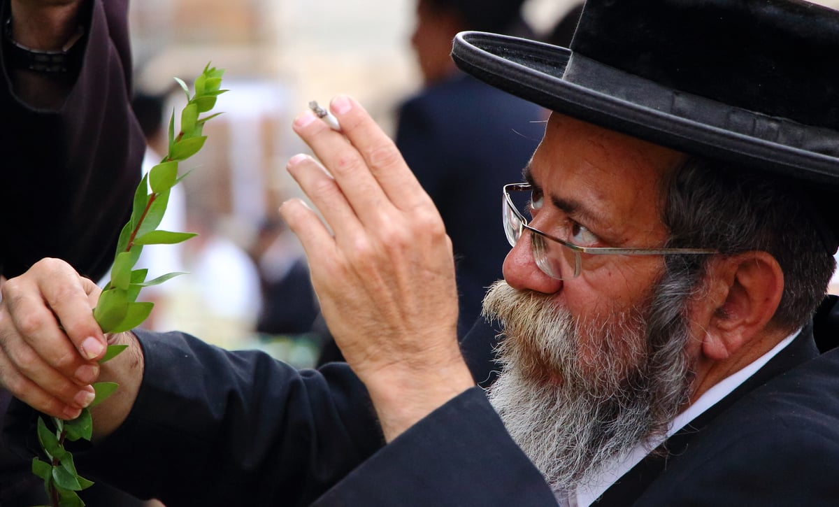 צפו בוחרים ארבעת המינים בשוק מאה שערים ו'מוסיוף' בירושלים