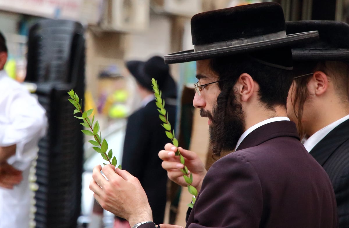 צפו בוחרים ארבעת המינים בשוק מאה שערים ו'מוסיוף' בירושלים