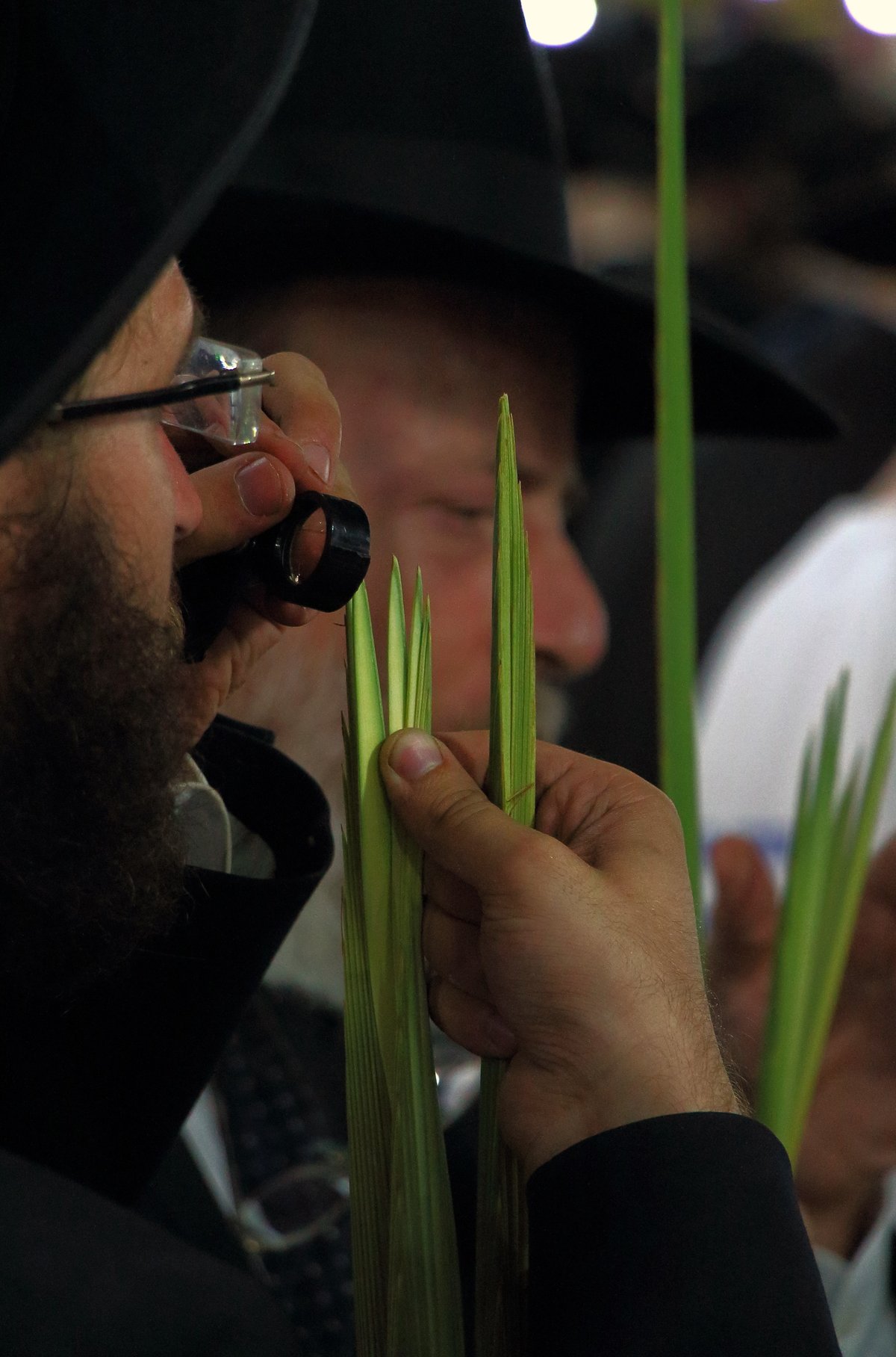 צפו בוחרים ארבעת המינים בשוק מאה שערים ו'מוסיוף' בירושלים