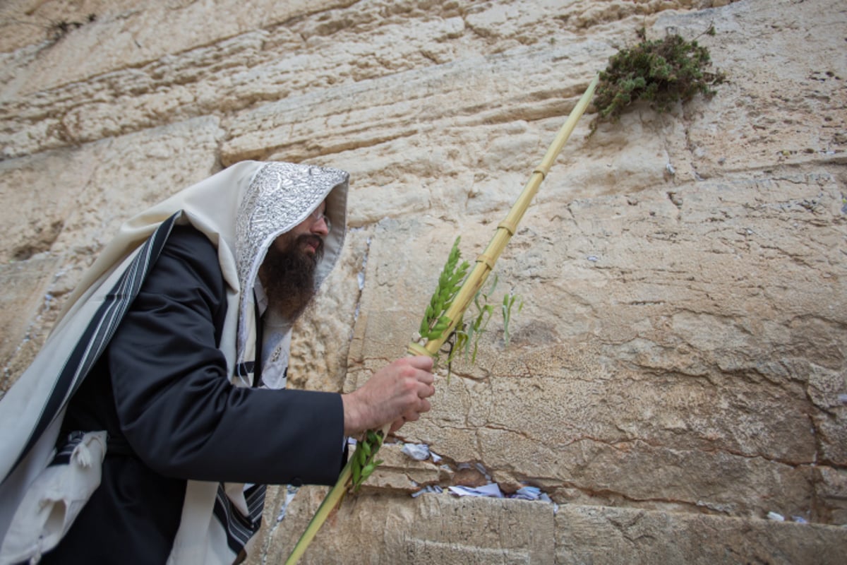 תיעוד ענק: מעמד ברכת כהנים בכותל המערבי