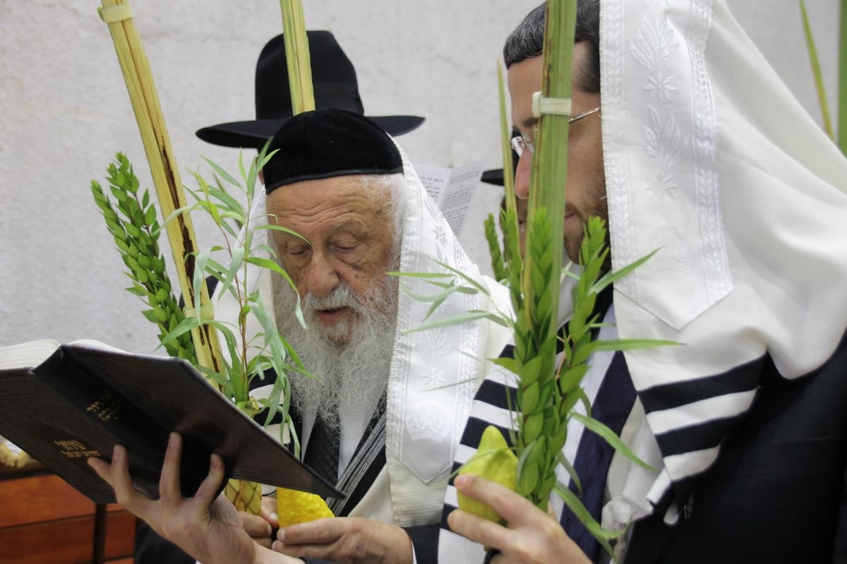 סוכות במחיצת הגרב"ד פוברסקי והאדמו"רים מסאדיגורה, מודזי'ץ ודארג • תיעוד