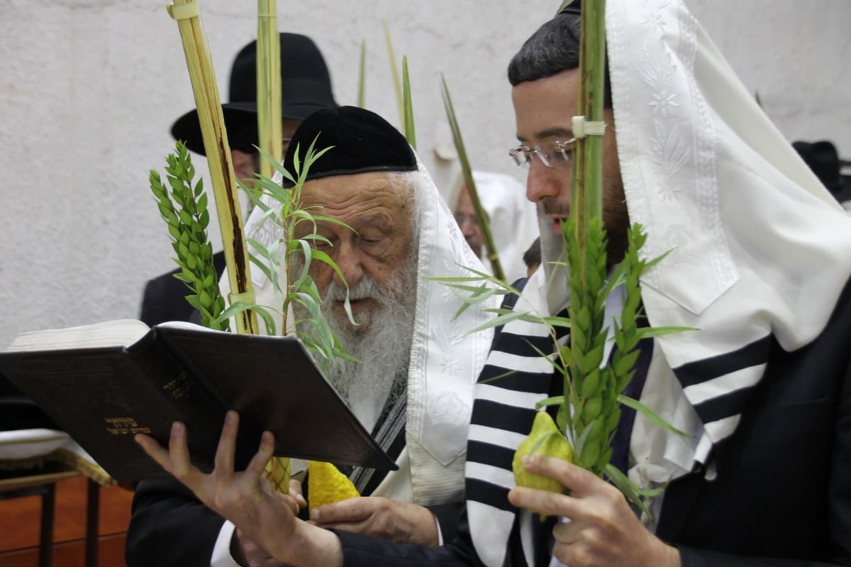 סוכות במחיצת הגרב"ד פוברסקי והאדמו"רים מסאדיגורה, מודזי'ץ ודארג • תיעוד