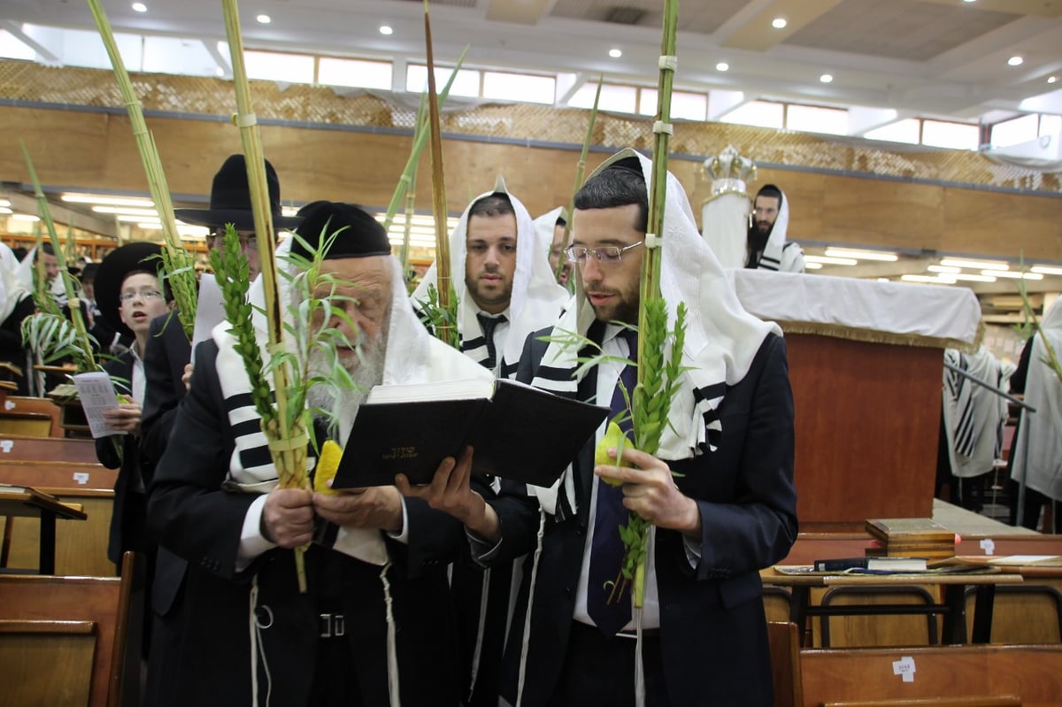 סוכות במחיצת הגרב"ד פוברסקי והאדמו"רים מסאדיגורה, מודזי'ץ ודארג • תיעוד