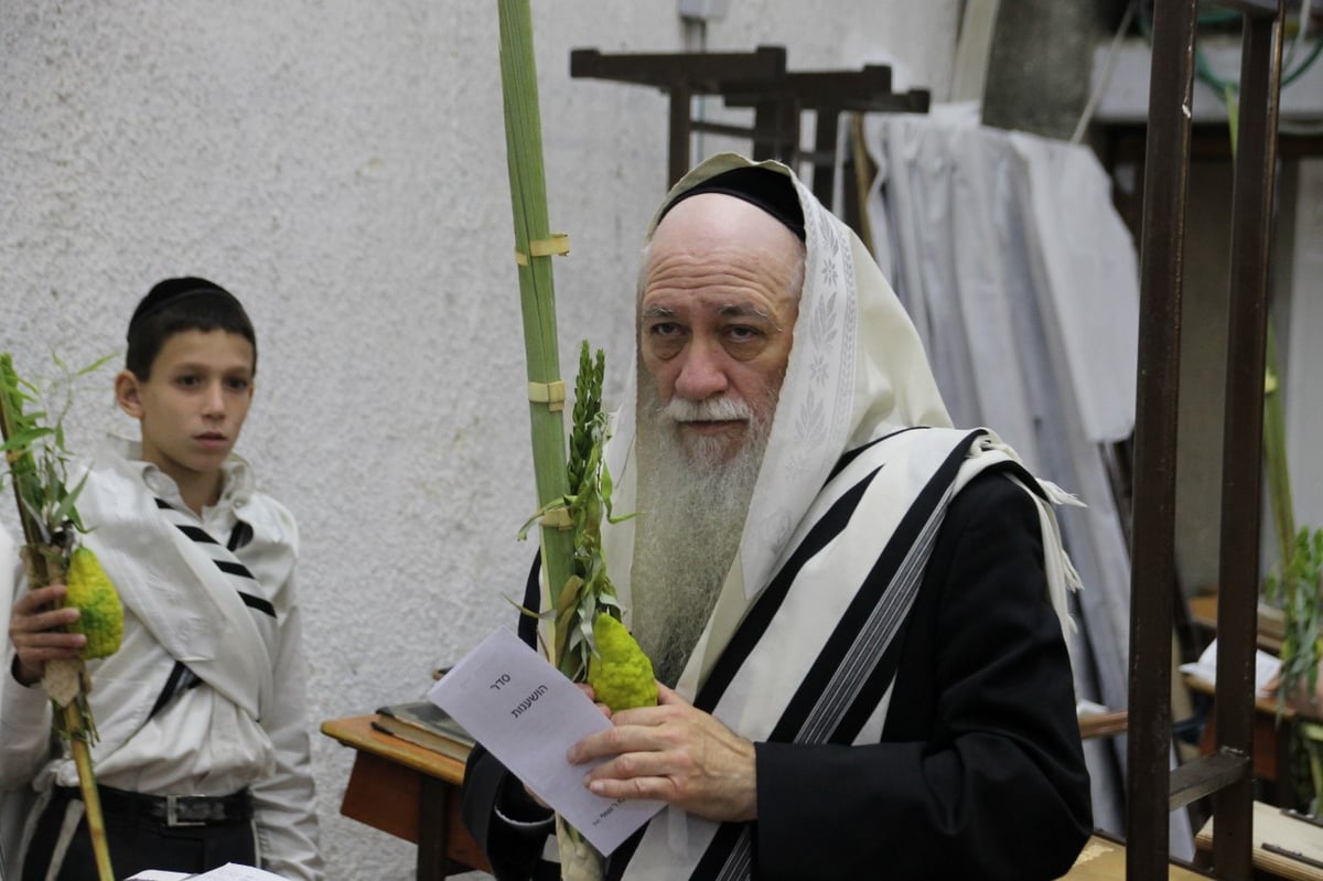 סוכות במחיצת הגרב"ד פוברסקי והאדמו"רים מסאדיגורה, מודזי'ץ ודארג • תיעוד