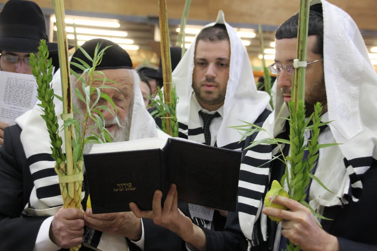 סוכות במחיצת הגרב"ד פוברסקי והאדמו"רים מסאדיגורה, מודזי'ץ ודארג • תיעוד