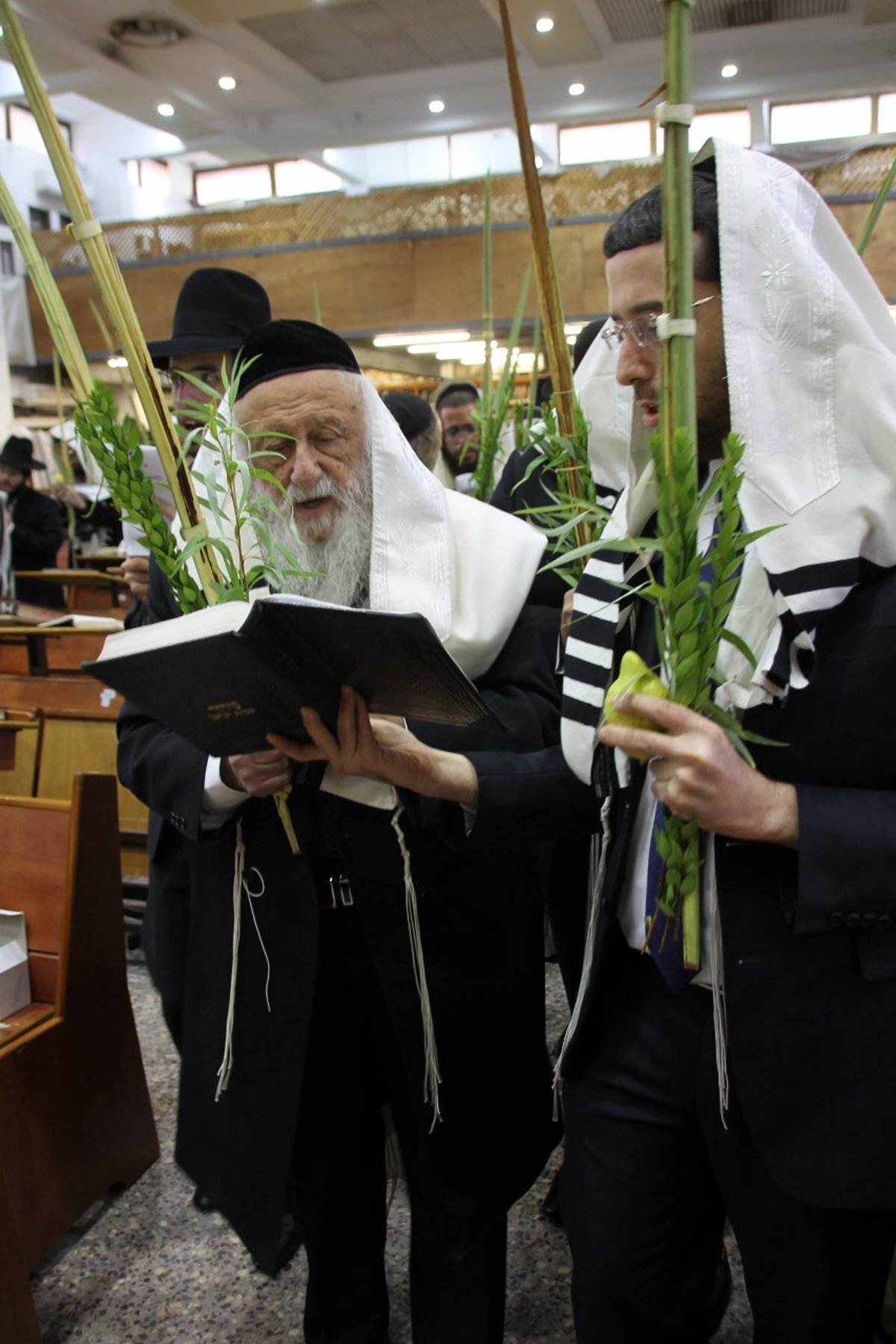 סוכות במחיצת הגרב"ד פוברסקי והאדמו"רים מסאדיגורה, מודזי'ץ ודארג • תיעוד