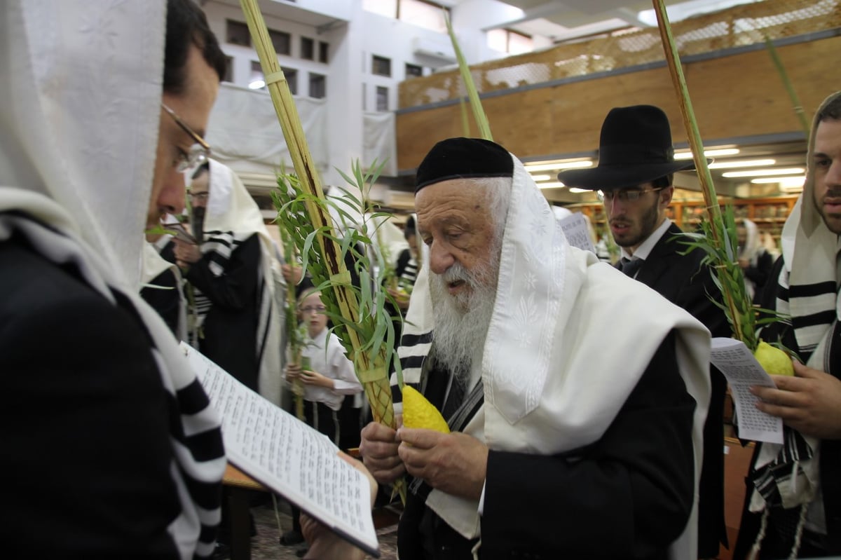 סוכות במחיצת הגרב"ד פוברסקי והאדמו"רים מסאדיגורה, מודזי'ץ ודארג • תיעוד