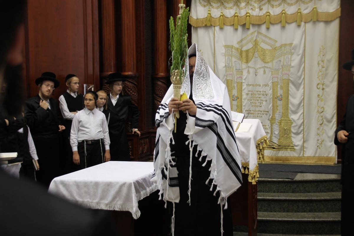 סוכות במחיצת הגרב"ד פוברסקי והאדמו"רים מסאדיגורה, מודזי'ץ ודארג • תיעוד