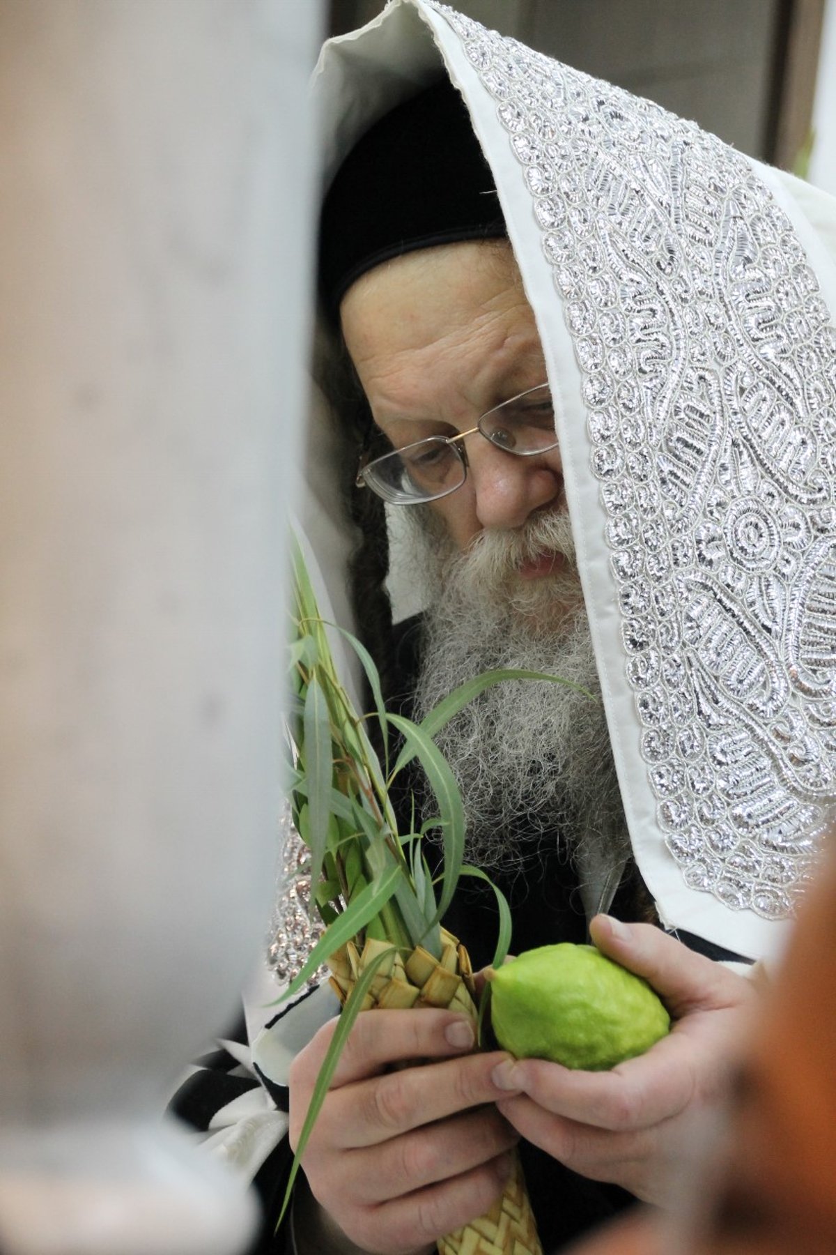 סוכות במחיצת הגרב"ד פוברסקי והאדמו"רים מסאדיגורה, מודזי'ץ ודארג • תיעוד