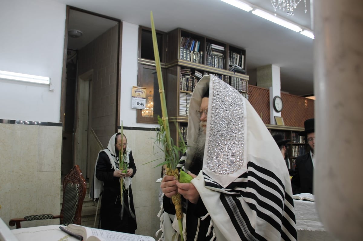 סוכות במחיצת הגרב"ד פוברסקי והאדמו"רים מסאדיגורה, מודזי'ץ ודארג • תיעוד