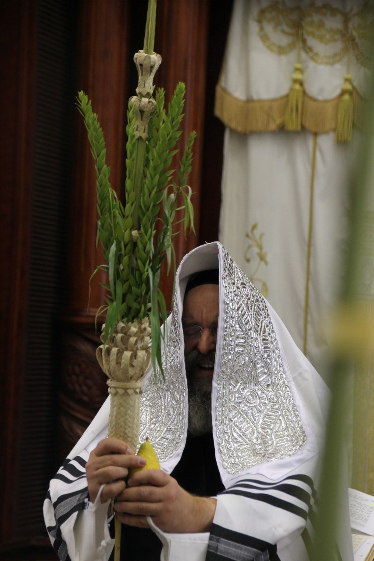 סוכות במחיצת הגרב"ד פוברסקי והאדמו"רים מסאדיגורה, מודזי'ץ ודארג • תיעוד