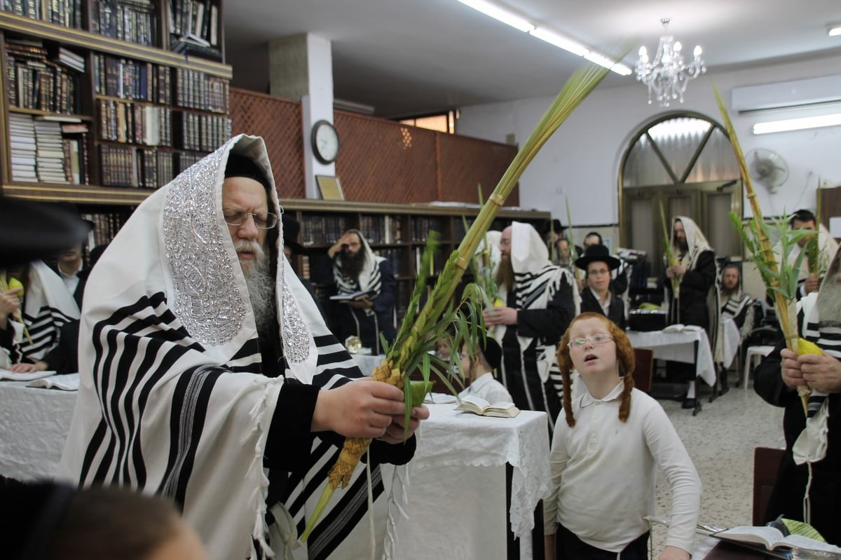 סוכות במחיצת הגרב"ד פוברסקי והאדמו"רים מסאדיגורה, מודזי'ץ ודארג • תיעוד