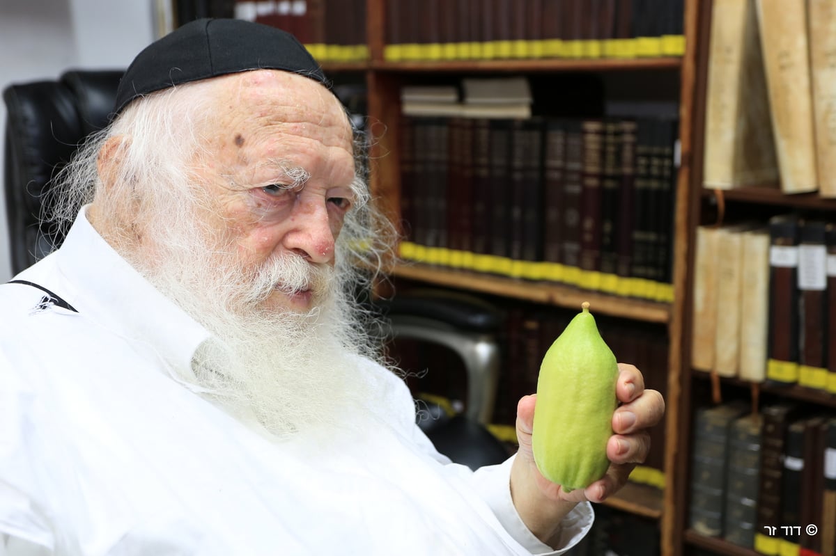 מרן הגר"ח בבחירת אתרוג לחג הסוכות