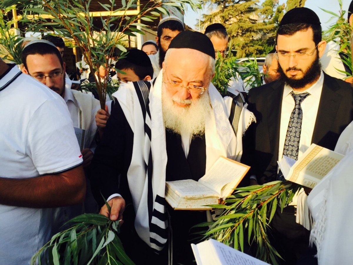 הראשל"צ הגרש"מ עמאר דומע בתפילת הושענא רבה וחבטת ערבה